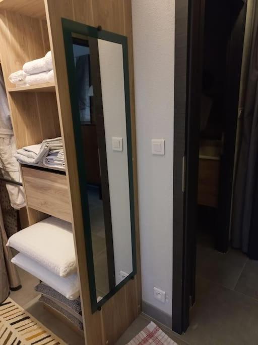 Appartement-Terrasse Parking Prive Meuble De Tourisme 4 Etoiles Belfort Ngoại thất bức ảnh
